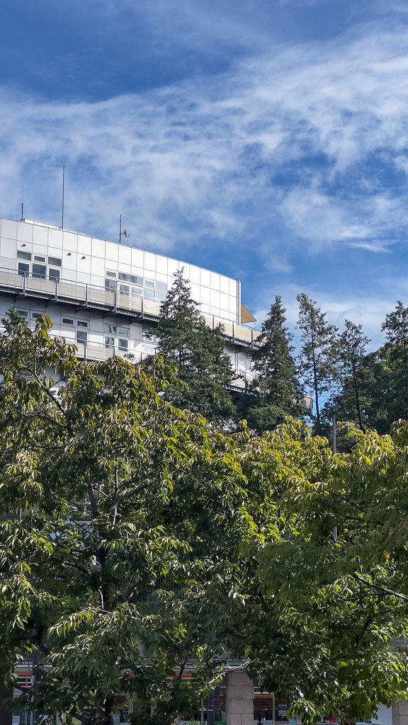 Espai net i lluminós a Vic